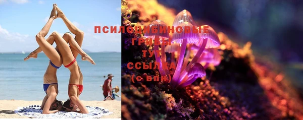 ГАЛЛЮЦИНОГЕННЫЕ ГРИБЫ Алексеевка