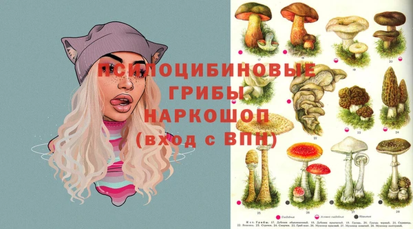 тгк Алзамай