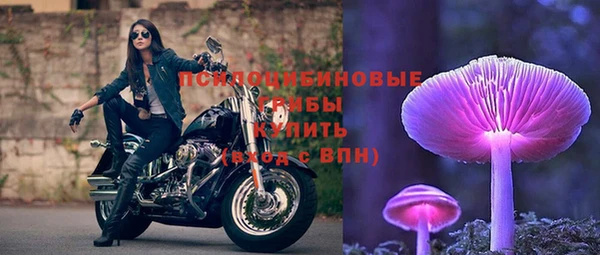 ГАЛЛЮЦИНОГЕННЫЕ ГРИБЫ Алексеевка